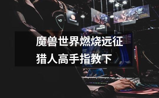 魔兽世界燃烧远征猎人高手指教下-第1张-游戏信息-龙启网