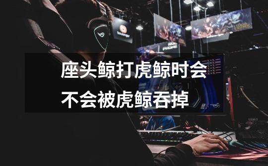 座头鲸打虎鲸时会不会被虎鲸吞掉-第1张-游戏信息-龙启网