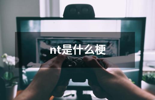 nt是什么梗-第1张-游戏信息-龙启网