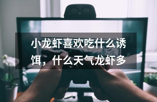 小龙虾喜欢吃什么诱饵,什么天气龙虾多-第1张-游戏信息-龙启网