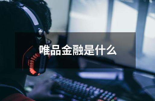 唯品金融是什么-第1张-游戏信息-龙启网