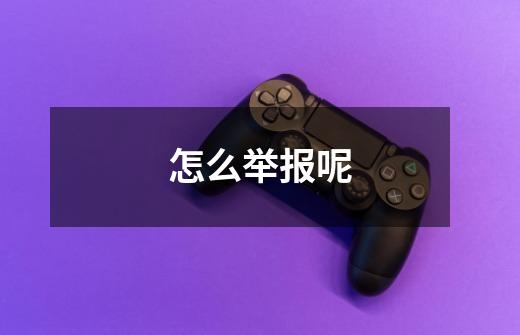 怎么举报呢-第1张-游戏信息-龙启网