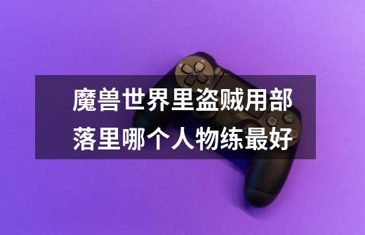 魔兽世界里盗贼用部落里哪个人物练最好-第1张-游戏信息-龙启网