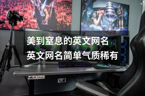 美到窒息的英文网名 英文网名简单气质稀有-第1张-游戏信息-龙启网