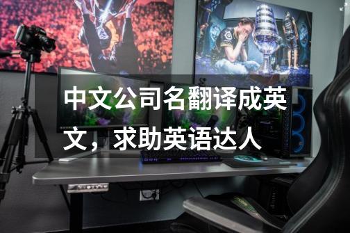 中文公司名翻译成英文,求助英语达人-第1张-游戏信息-龙启网
