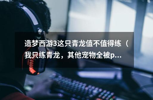 造梦西游3这只青龙值不值得练(我只练青龙,其他宠物全被pass)-第1张-游戏信息-龙启网