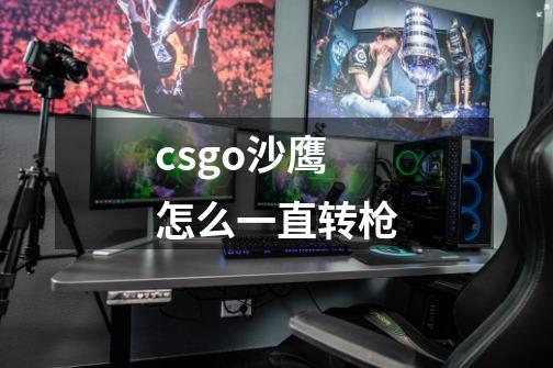 csgo沙鹰怎么一直转枪-第1张-游戏信息-龙启网