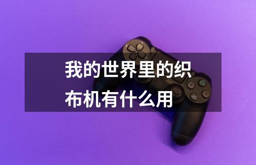 我的世界里的织布机有什么用-第1张-游戏信息-龙启网