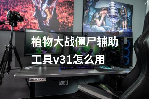 植物大战僵尸辅助工具v3.1怎么用-第1张-游戏信息-龙启网
