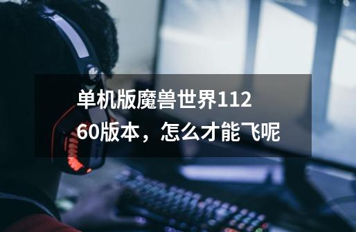 单机版魔兽世界1.12 60版本，怎么才能飞呢-第1张-游戏信息-龙启网