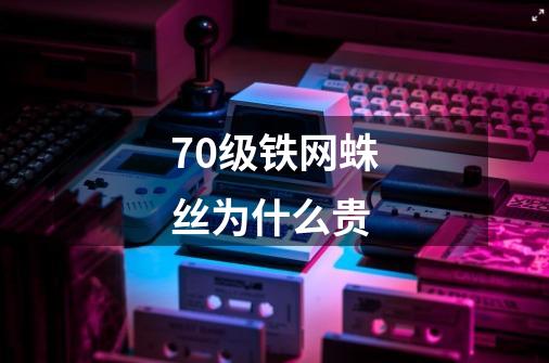 70级铁网蛛丝为什么贵-第1张-游戏信息-龙启网
