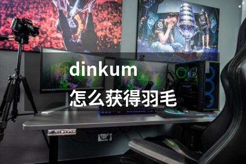 dinkum怎么获得羽毛-第1张-游戏信息-龙启网