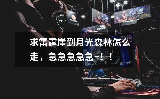 求雷霆崖到月光森林怎么走,急急急急急~!!-第1张-游戏信息-龙启网