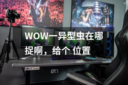 WOW一异型虫在哪捉啊，给个 位置-第1张-游戏信息-龙启网