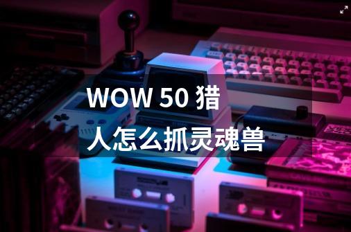 WOW 5.0 猎人怎么抓灵魂兽-第1张-游戏信息-龙启网