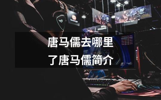 唐马儒去哪里了唐马儒简介-第1张-游戏信息-龙启网