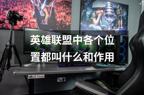 英雄联盟中各个位置都叫什么和作用-第1张-游戏信息-龙启网