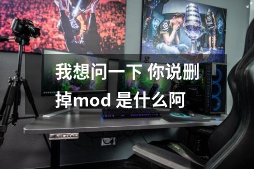 我想问一下 你说删掉mod 是什么阿-第1张-游戏信息-龙启网