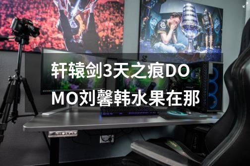 轩辕剑3天之痕DOMO刘馨韩水果在那-第1张-游戏信息-龙启网