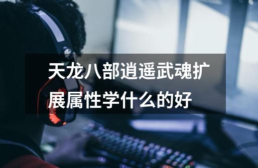 天龙八部逍遥武魂扩展属性学什么的好-第1张-游戏信息-龙启网