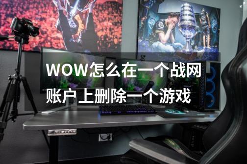 WOW怎么在一个战网账户上删除一个游戏-第1张-游戏信息-龙启网
