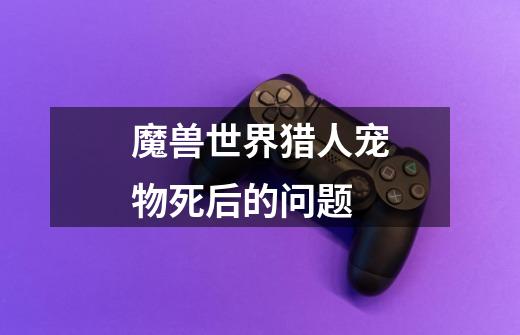 魔兽世界猎人宠物死后的问题-第1张-游戏信息-龙启网