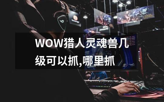 WOW猎人灵魂兽几级可以抓,哪里抓-第1张-游戏信息-龙启网