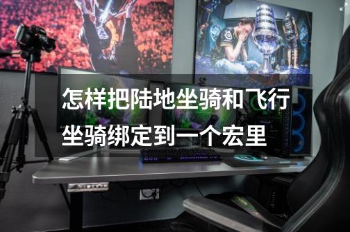 怎样把陆地坐骑和飞行坐骑绑定到一个宏里-第1张-游戏信息-龙启网