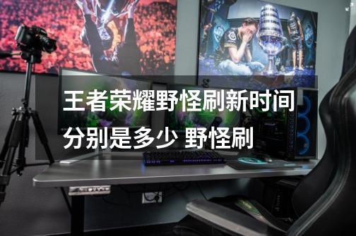 王者荣耀野怪刷新时间分别是多少 野怪刷-第1张-游戏信息-龙启网