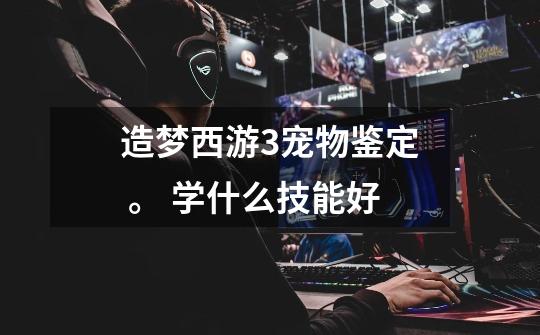 造梦西游3宠物鉴定 。 学什么技能好-第1张-游戏信息-龙启网