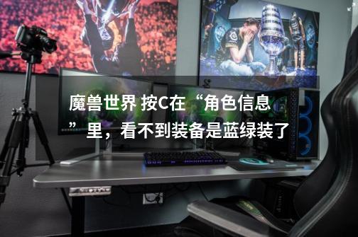 魔兽世界 按C在“角色信息”里,看不到装备是蓝绿装了-第1张-游戏信息-龙启网