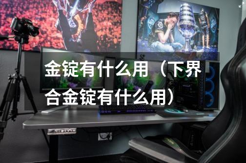 金锭有什么用(下界合金锭有什么用)-第1张-游戏信息-龙启网