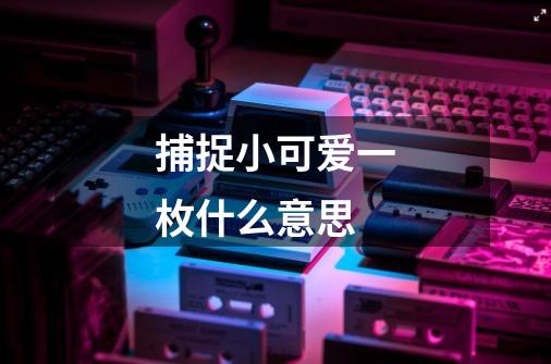 捕捉小可爱一枚什么意思-第1张-游戏信息-龙启网