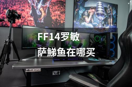 FF14罗敏萨鮷鱼在哪买-第1张-游戏信息-龙启网