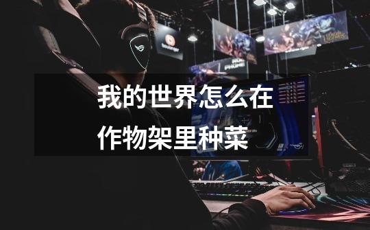 我的世界怎么在作物架里种菜-第1张-游戏信息-龙启网