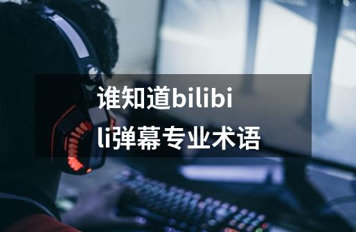谁知道bilibili弹幕专业术语-第1张-游戏信息-龙启网