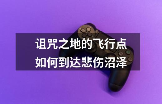 诅咒之地的飞行点如何到达悲伤沼泽-第1张-游戏信息-龙启网