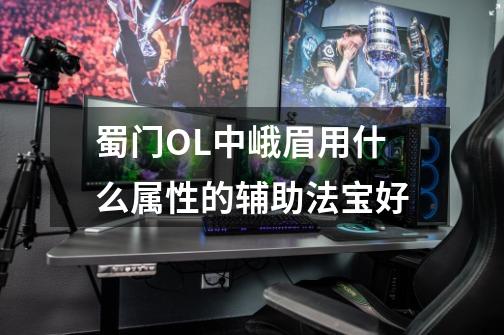 蜀门OL中峨眉用什么属性的辅助法宝好-第1张-游戏信息-龙启网