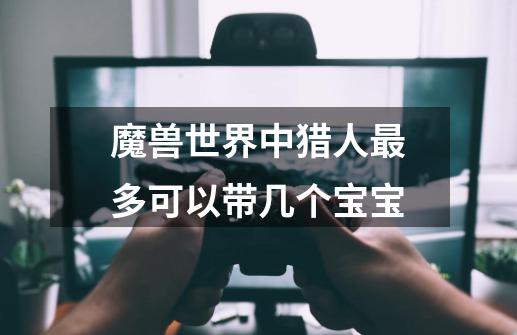魔兽世界中猎人最多可以带几个宝宝-第1张-游戏信息-龙启网