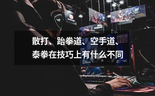 散打、跆拳道、空手道、泰拳在技巧上有什么不同-第1张-游戏信息-龙启网