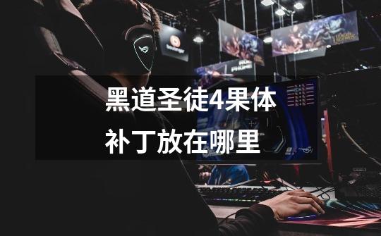 黑道圣徒4果体补丁放在哪里-第1张-游戏信息-龙启网