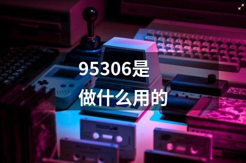 95306是做什么用的-第1张-游戏信息-龙启网