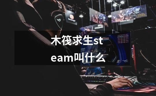 木筏求生steam叫什么-第1张-游戏信息-龙启网