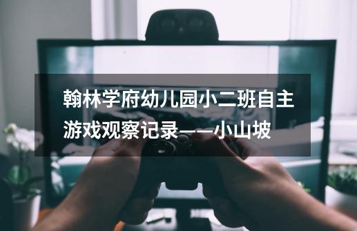 翰林学府幼儿园小二班自主游戏观察记录——小山坡-第1张-游戏信息-龙启网