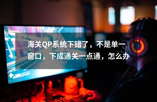 海关QP系统下错了，不是单一窗口，下成通关一点通，怎么办-第1张-游戏信息-龙启网