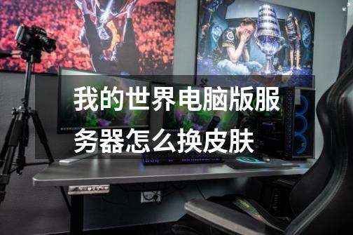 我的世界电脑版服务器怎么换皮肤-第1张-游戏信息-龙启网