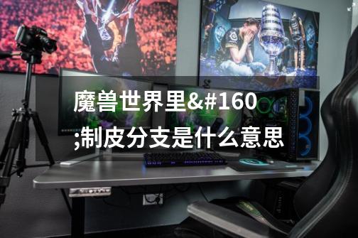 魔兽世界里 制皮分支是什么意思-第1张-游戏信息-龙启网