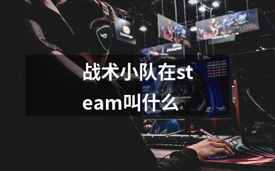 战术小队在steam叫什么-第1张-游戏信息-龙启网
