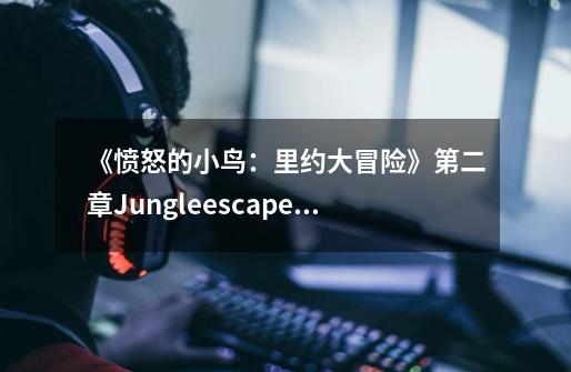 《愤怒的小鸟:里约大冒险》第二章Jungleescape第3环详细攻略-第1张-游戏信息-龙启网