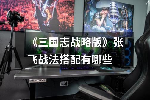 《三国志战略版》张飞战法搭配有哪些-第1张-游戏信息-龙启网
